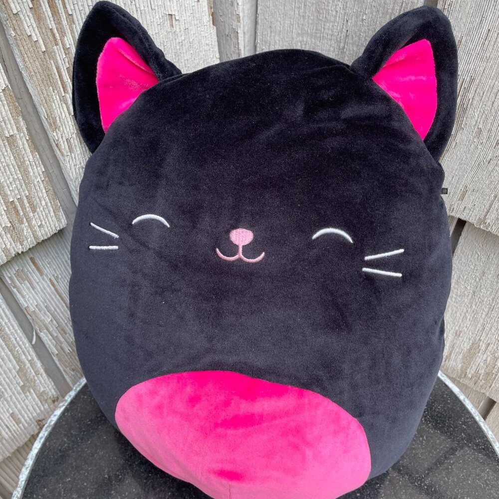 Squishmallows Plush Catarina Black Cat Pink Belly Halloween 13"
